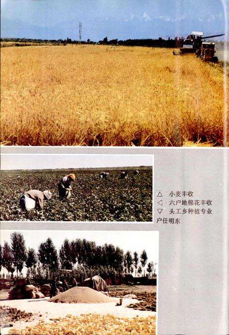 《玛纳斯县志》.pdf_新疆维吾尔自治区志预览图5