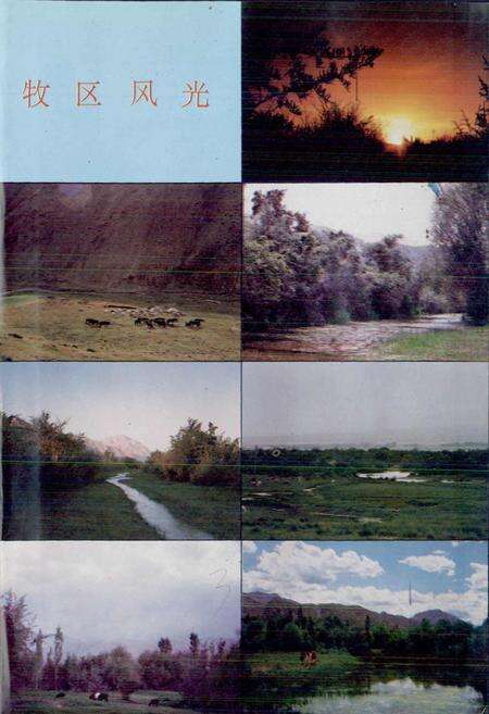 《阿合奇县志》.pdf_新疆维吾尔自治区志预览图5