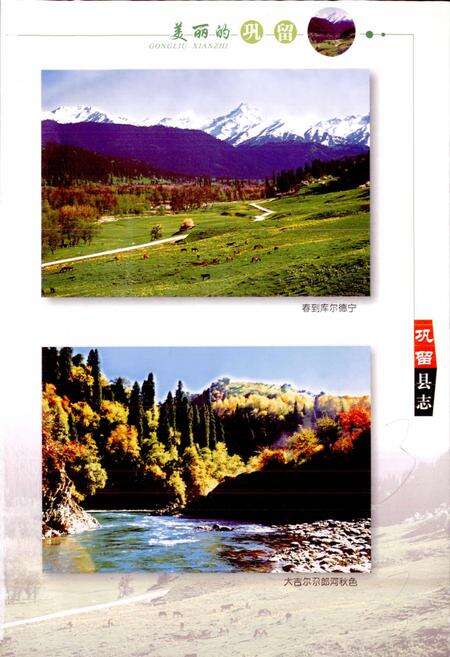 《巩留县志》.pdf_新疆维吾尔自治区志预览图5