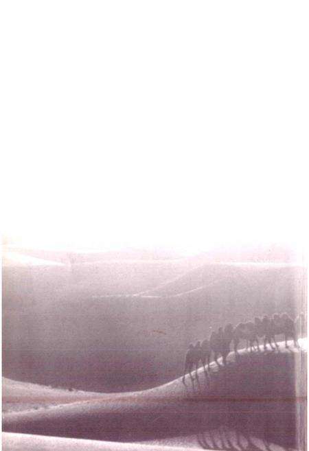 《哈密地区地方税务志》.pdf_新疆维吾尔自治区志预览图2