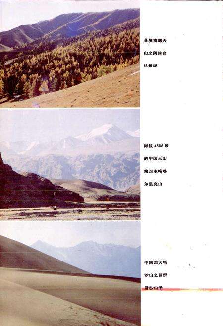 《伊吾县志》.pdf_新疆维吾尔自治区志预览图4