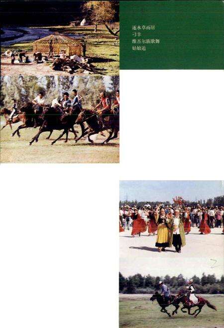 《新疆伊犁风物志》.pdf_新疆维吾尔自治区志预览图4