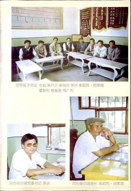《阿合奇农场志》.pdf_新疆维吾尔自治区志预览图5