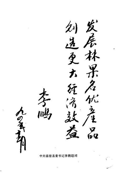 《温宿县木本粮油林场志》.pdf_新疆维吾尔自治区志预览图3