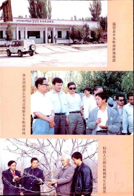 《温宿县木本粮油林场志》.pdf_新疆维吾尔自治区志预览图4