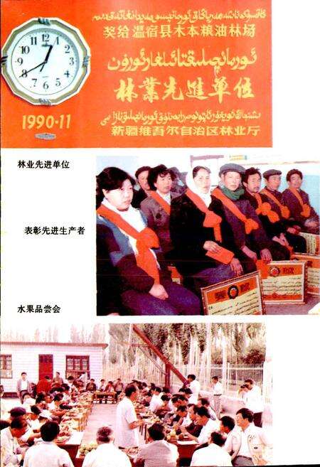 《温宿县木本粮油林场志》.pdf_新疆维吾尔自治区志预览图5