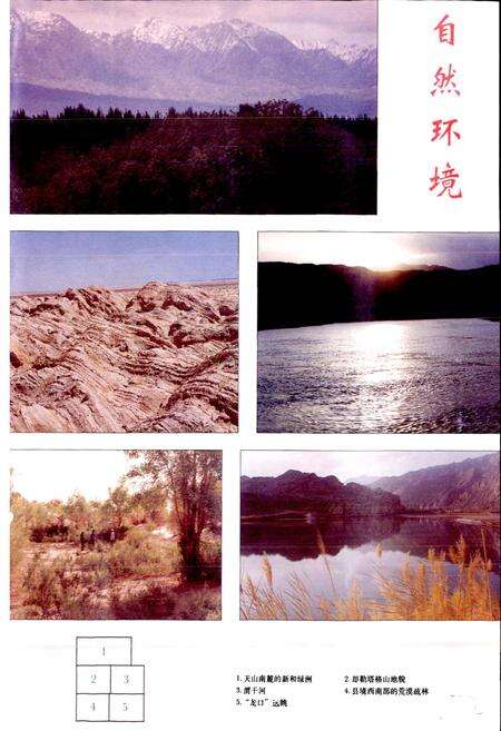 《新和县志》.pdf_新疆维吾尔自治区志预览图4