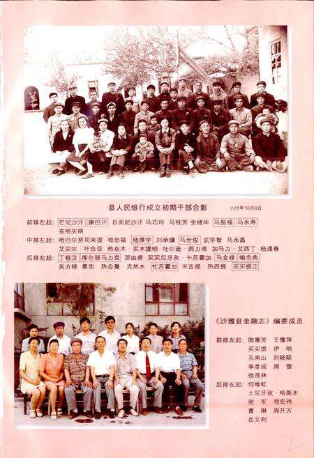 《沙雅县金融志》.pdf_新疆维吾尔自治区志预览图4