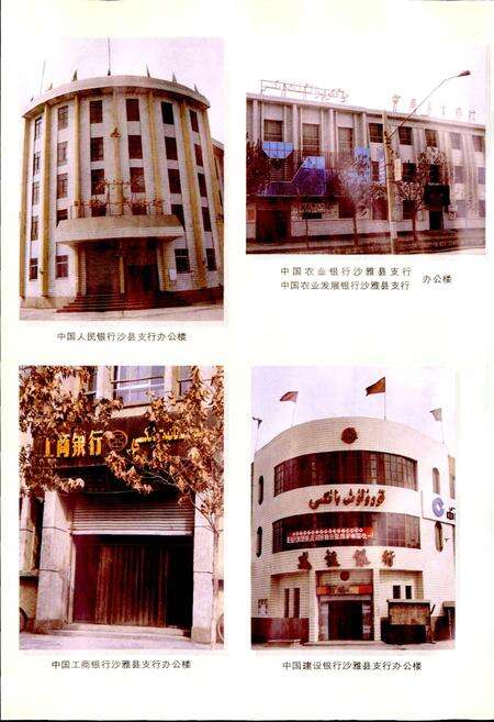 《沙雅县金融志》.pdf_新疆维吾尔自治区志预览图5