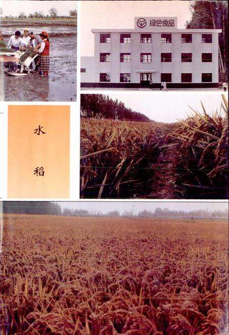 《温宿县志》.pdf_新疆维吾尔自治区志预览图5