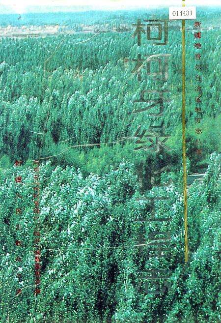 《柯柯牙绿化工程志》.pdf_新疆维吾尔自治区志缩略图