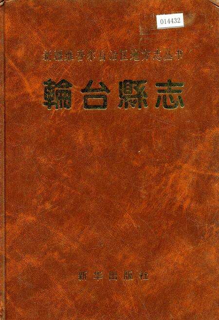 《轮台县志》.pdf_新疆维吾尔自治区志缩略图