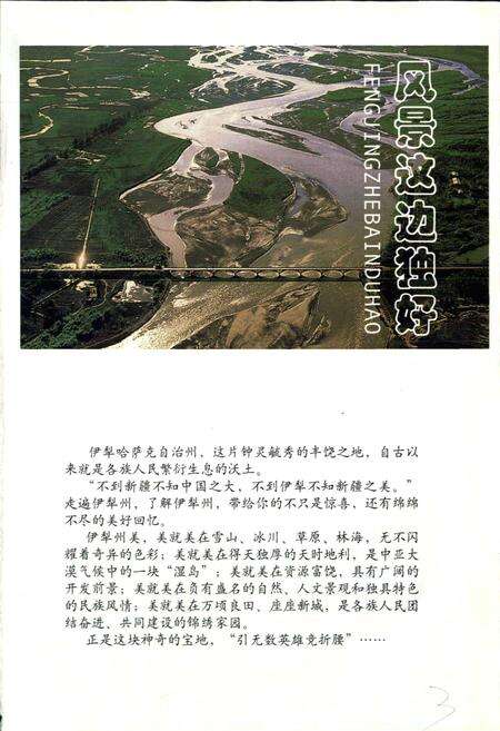 《伊犁哈萨克自治州志》.pdf_新疆维吾尔自治区志预览图5