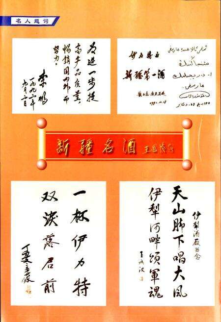 《新疆伊犁酿酒总厂志》.pdf_新疆维吾尔自治区志预览图4