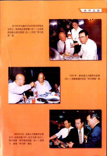 《新疆伊犁酿酒总厂志》.pdf_新疆维吾尔自治区志预览图5