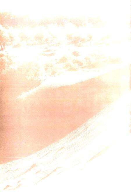 《红旗农场志》.pdf_新疆维吾尔自治区志预览图2