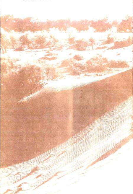 《土墩子农场志》.pdf_新疆维吾尔自治区志预览图2