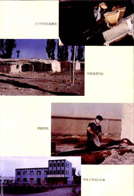 《新疆生产建设兵团史志四十九团志》.pdf_新疆维吾尔自治区志预览图5