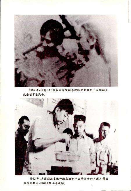 《新疆生产建设兵团农一师十团志》.pdf_新疆维吾尔自治区志预览图5