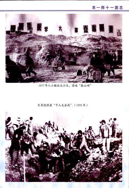 《新疆生产建设兵团农一师史志十一团志》.pdf_新疆维吾尔自治区志预览图5