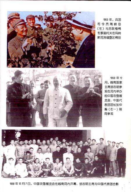 《新疆生产建设兵团外事志 外贸志》.pdf_新疆维吾尔自治区志预览图5