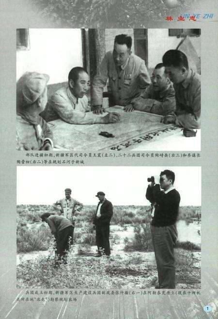 《新疆生产建设兵团林业志》.pdf_新疆维吾尔自治区志预览图2