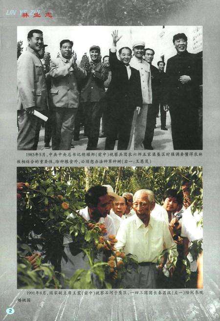 《新疆生产建设兵团林业志》.pdf_新疆维吾尔自治区志预览图3