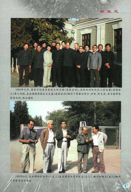 《新疆生产建设兵团林业志》.pdf_新疆维吾尔自治区志预览图4