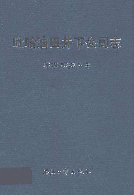 《吐哈油田井下公司志》.pdf_新疆维吾尔自治区志缩略图
