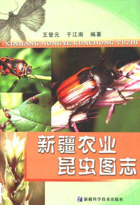 《新疆农业昆虫图志》.pdf_新疆维吾尔自治区志缩略图