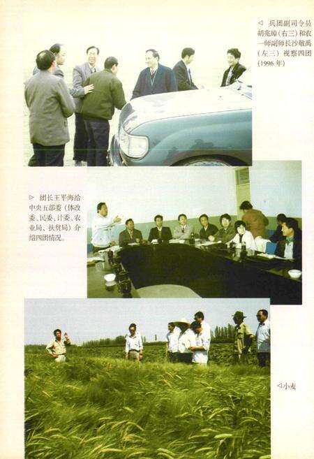 《农一师四团志》.pdf_新疆维吾尔自治区志预览图5
