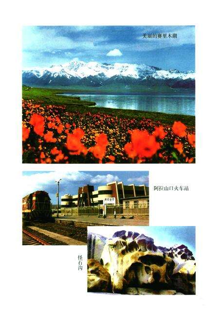 《博尔塔拉蒙古自治州税务志》.pdf_新疆维吾尔自治区志预览图5