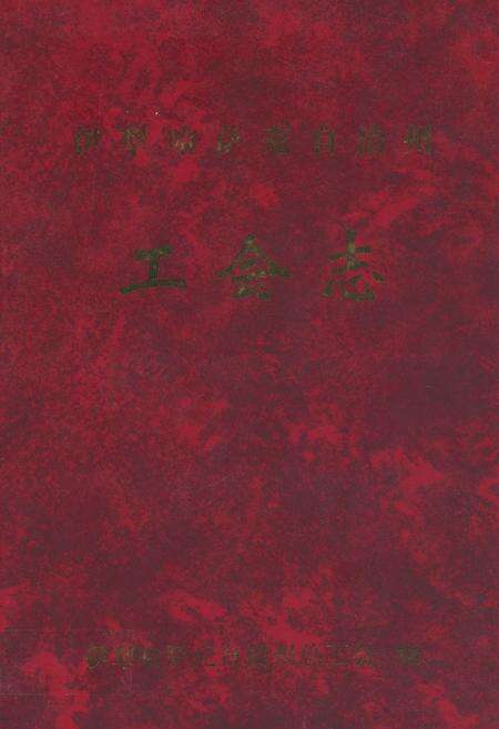 《伊犁哈萨克自治州工会志》.pdf_新疆维吾尔自治区志缩略图