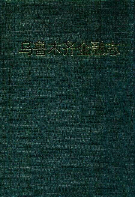 《乌鲁木齐金融志》.pdf_新疆维吾尔自治区志缩略图
