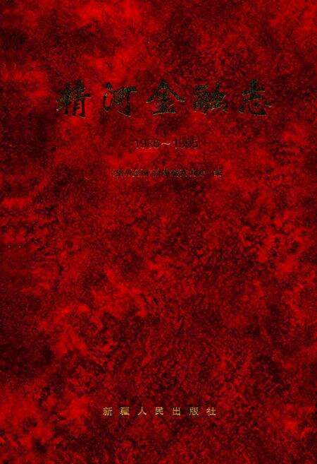《精河金融志(1986-1995)》.pdf_新疆维吾尔自治区志缩略图