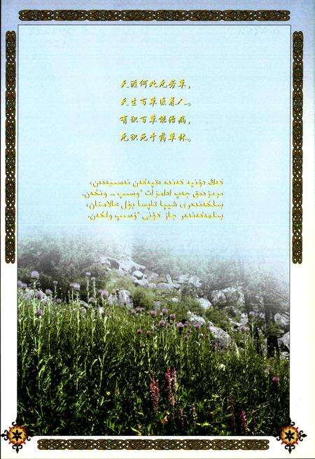 《哈萨克药志(第二册)》.pdf_新疆维吾尔自治区志预览图2