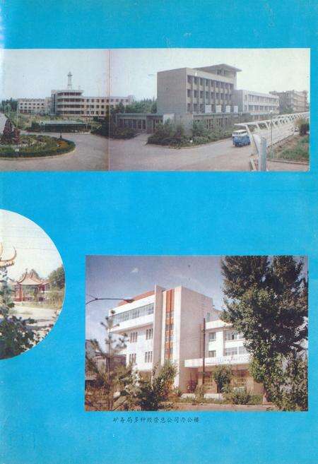 《乌鲁木齐矿务局志(1986-1990)》.pdf_新疆维吾尔自治区志预览图2