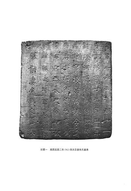 《《吐鲁番出土砖志集注》(上)》.pdf_新疆维吾尔自治区志预览图2
