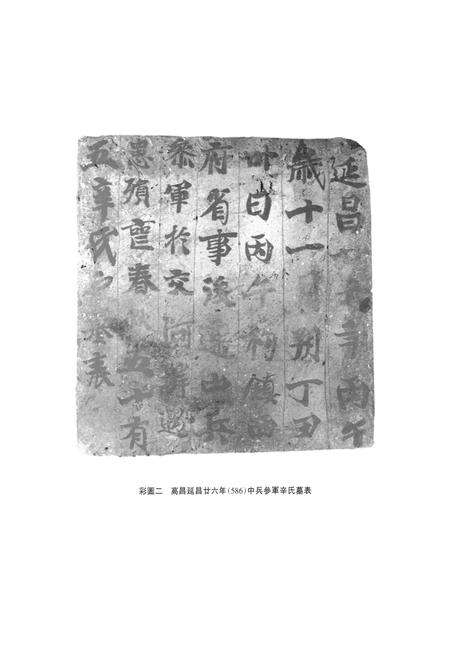 《《吐鲁番出土砖志集注》(上)》.pdf_新疆维吾尔自治区志预览图3