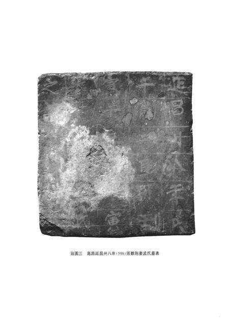 《《吐鲁番出土砖志集注》(上)》.pdf_新疆维吾尔自治区志预览图4