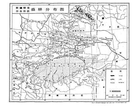 《新疆山地森林土壤》.pdf_新疆维吾尔自治区志预览图1