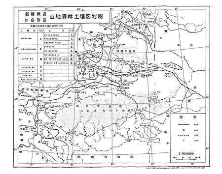 《新疆山地森林土壤》.pdf_新疆维吾尔自治区志预览图3