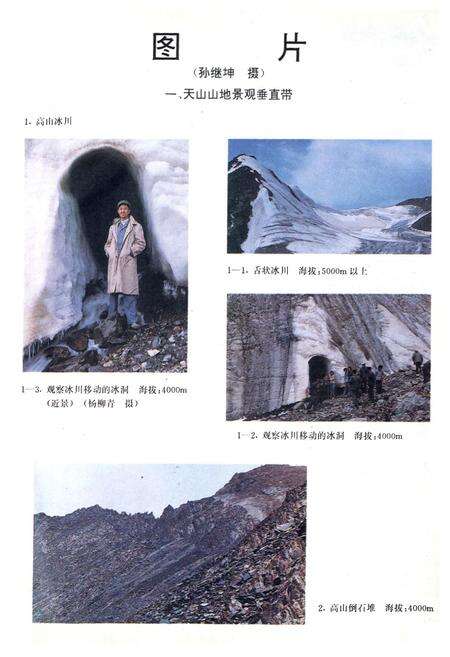 《新疆山地森林土壤》.pdf_新疆维吾尔自治区志预览图4