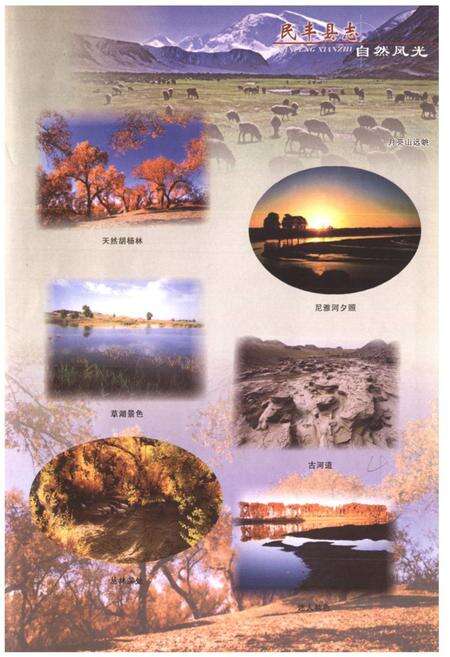 《民丰县志》.pdf_新疆维吾尔自治区志预览图5