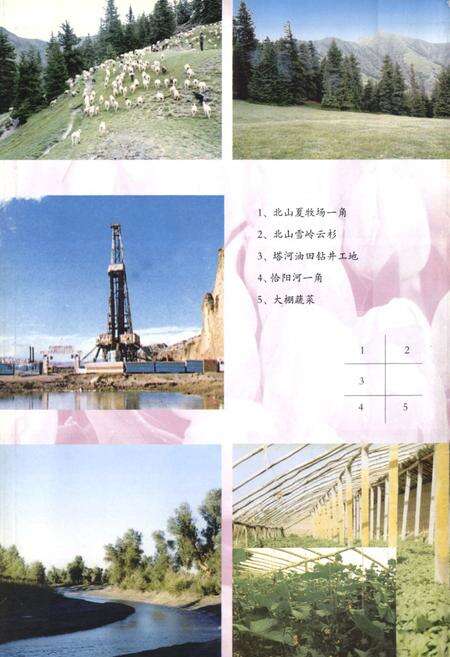 《《轮台县土地志》》.pdf_新疆维吾尔自治区志预览图4