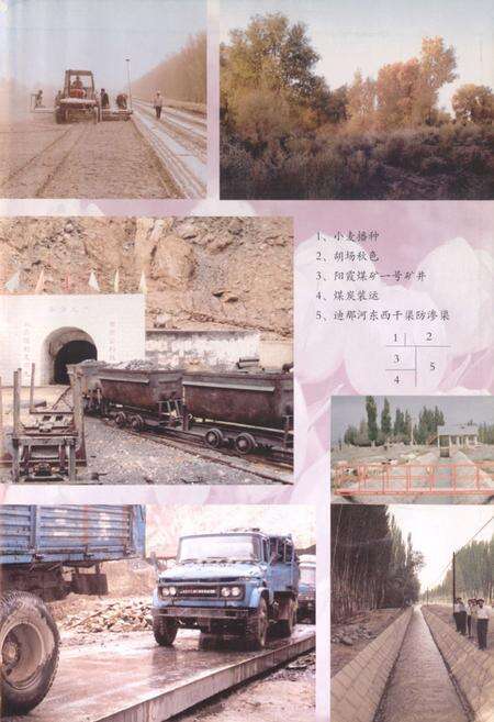 《《轮台县土地志》》.pdf_新疆维吾尔自治区志预览图5