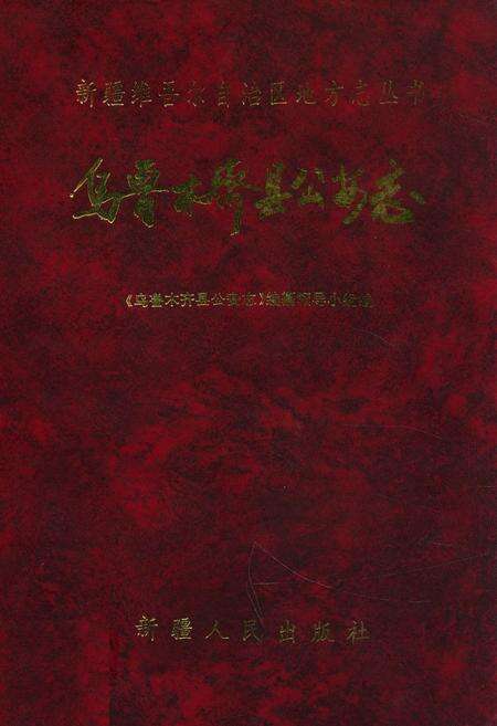 《乌鲁木齐县公安志》.pdf_新疆维吾尔自治区志缩略图