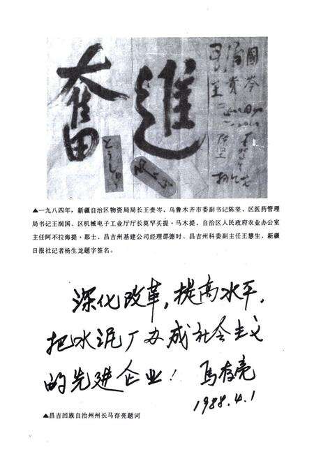 《天龙水泥厂志第一卷(1965-1988)》.pdf_新疆维吾尔自治区志预览图5
