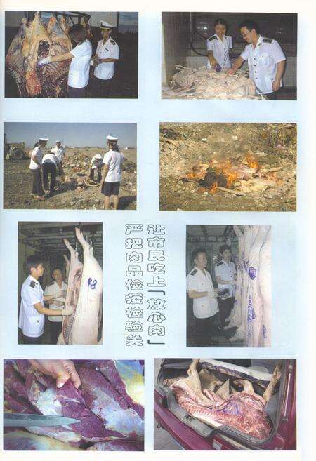 《石河子市兽医卫生检疫所所志(1983-2003)》.pdf_新疆维吾尔自治区志预览图4