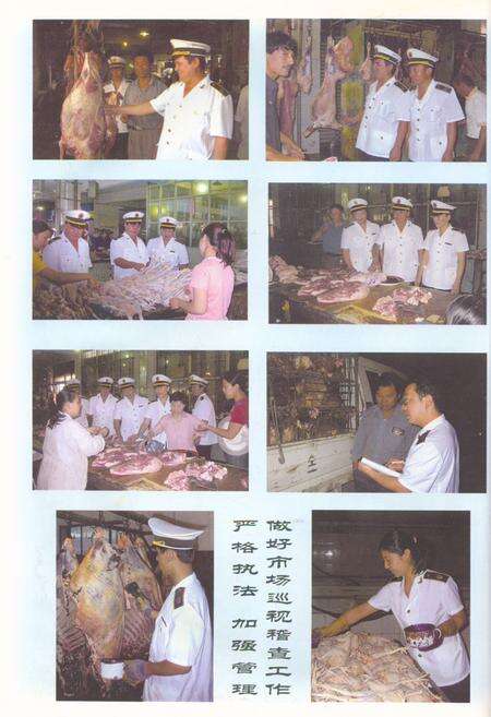 《石河子市兽医卫生检疫所所志(1983-2003)》.pdf_新疆维吾尔自治区志预览图5